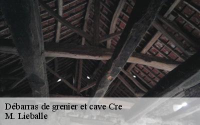 Débarras de grenier et cave  cre-72200 M. Lieballe 