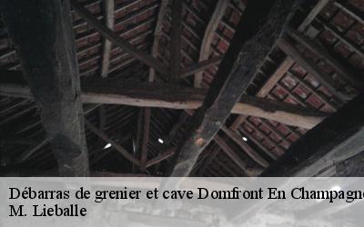Débarras de grenier et cave  domfront-en-champagne-72240 M. Lieballe 