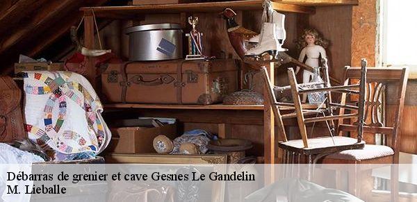 Débarras de grenier et cave  gesnes-le-gandelin-72130 M. Lieballe