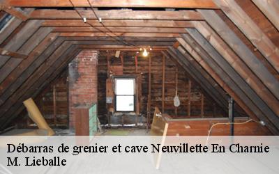 Débarras de grenier et cave  neuvillette-en-charnie-72140 M. Lieballe 