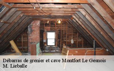 Débarras de grenier et cave  montfort-le-gesnois-72450 M. Lieballe 