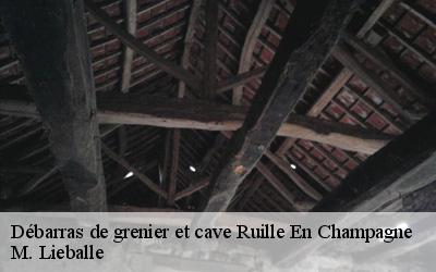 Débarras de grenier et cave  ruille-en-champagne-72240 M. Lieballe 