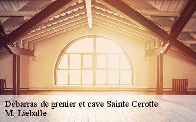 Débarras de grenier et cave  sainte-cerotte-72120 M. Lieballe 
