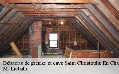 Débarras de grenier et cave  saint-christophe-en-champagn-72540 M. Lieballe 