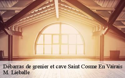 Débarras de grenier et cave  saint-cosme-en-vairais-72110 M. Lieballe 