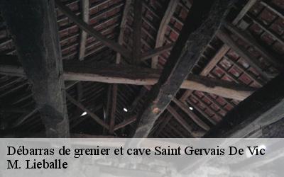 Débarras de grenier et cave  saint-gervais-de-vic-72120 M. Lieballe 