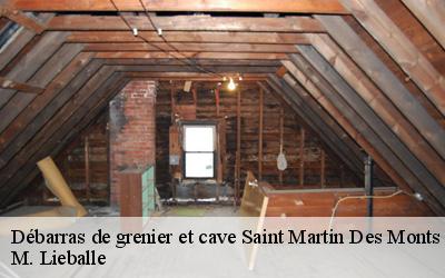 Débarras de grenier et cave  saint-martin-des-monts-72400 M. Lieballe 