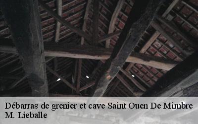 Débarras de grenier et cave  saint-ouen-de-mimbre-72130 M. Lieballe 