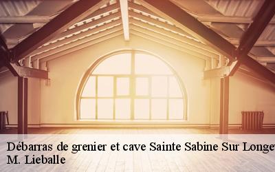 Débarras de grenier et cave  sainte-sabine-sur-longeve-72380 M. Lieballe 