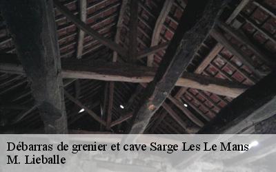 Débarras de grenier et cave  sarge-les-le-mans-72190 M. Lieballe 