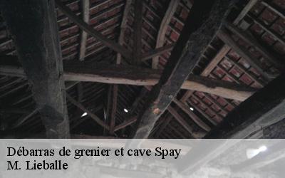 Débarras de grenier et cave  spay-72700 M. Lieballe 