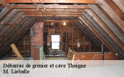 Débarras de grenier et cave  thoigne-72260 M. Lieballe 