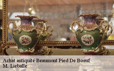 Achat antiquité  beaumont-pied-de-boeuf-72500 M. Lieballe 