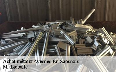 Achat métaux  avesnes-en-saosnois-72260 M. Lieballe 