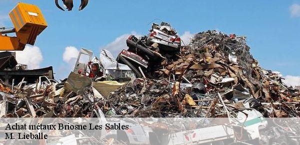 Achat métaux  briosne-les-sables-72110 M. Lieballe 