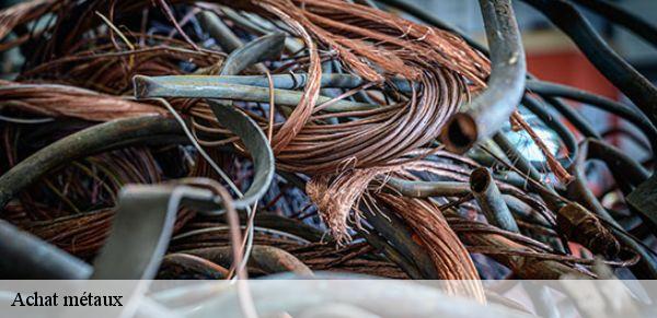 Achat métaux  montreuil-le-henri-72150 M. Lieballe