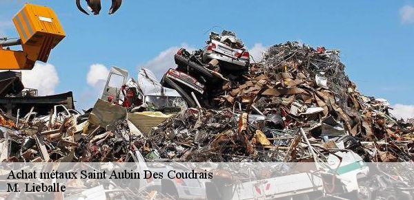 Achat métaux  saint-aubin-des-coudrais-72400 M. Lieballe 
